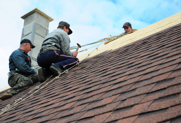 Best Roof Gutter Cleaning  in Eureka, CA